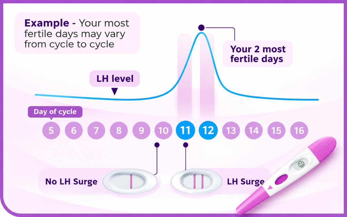 LH surge chart showing LH levels across cycle days and the two most fertile days after a positive ovulation test
